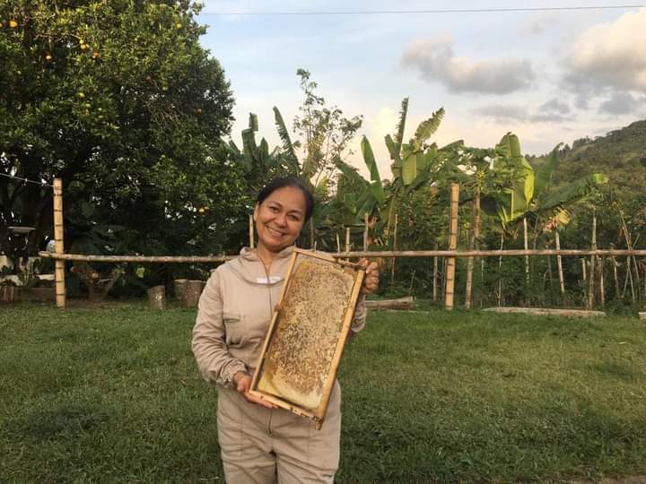 El Shaddai Farm: Take Your Coffee Crops to the Next Level with Apiculture!